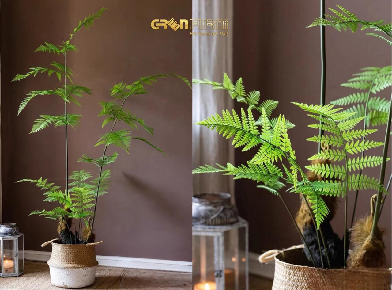 Biến Phòng Ngủ Thành Ốc Đảo Xanh Mát - Lựa Chọn Cây Phong Thủy Phù Hợp 8 snapedit 1715672098318