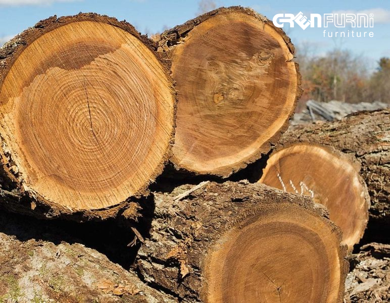KHÁM PHÁ ƯU ĐIỂM CỦA GỖ WALNUT CÙNG GREENFURNI 1 KHÁM PHÁ ƯU ĐIỂM CỦA GỖ WALNUT CÙNG GREENFURNI