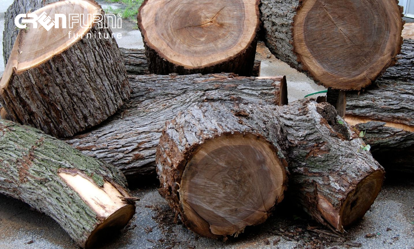KHÁM PHÁ ƯU ĐIỂM CỦA GỖ WALNUT CÙNG GREENFURNI 2 KHÁM PHÁ ƯU ĐIỂM CỦA GỖ WALNUT CÙNG GREENFURNI